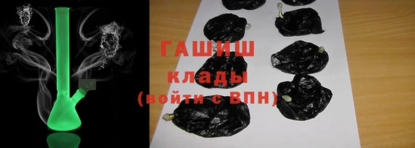 стаф Новокубанск