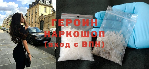 гидра Ессентукская