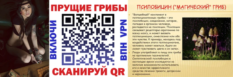 Псилоцибиновые грибы прущие грибы  купить наркотики сайты  Торопец 